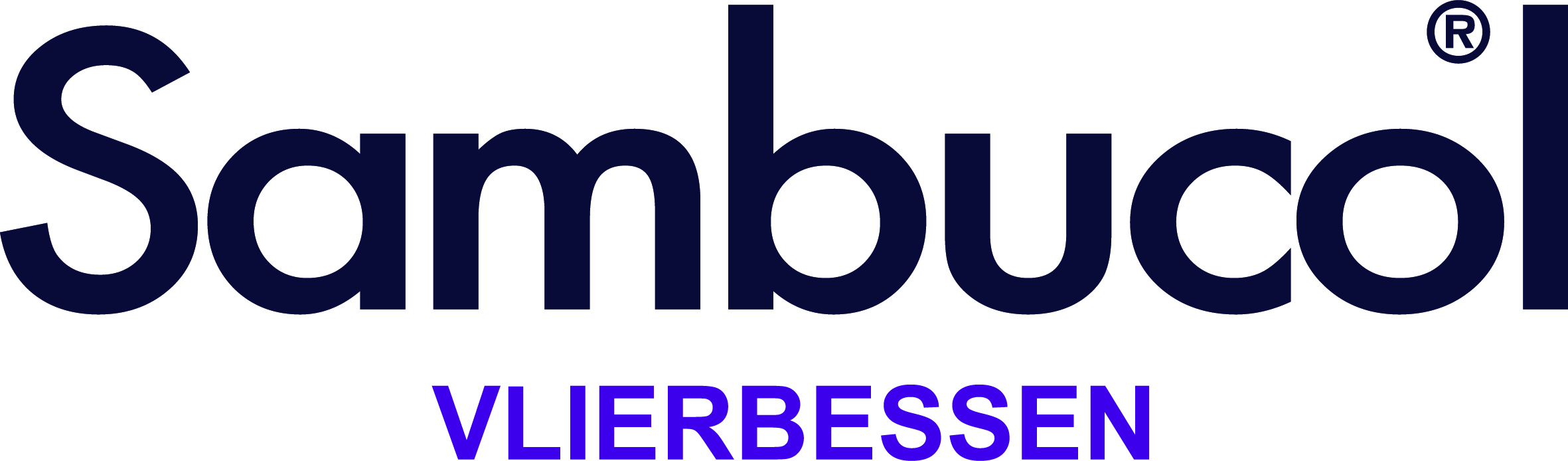 SMB NL Logos