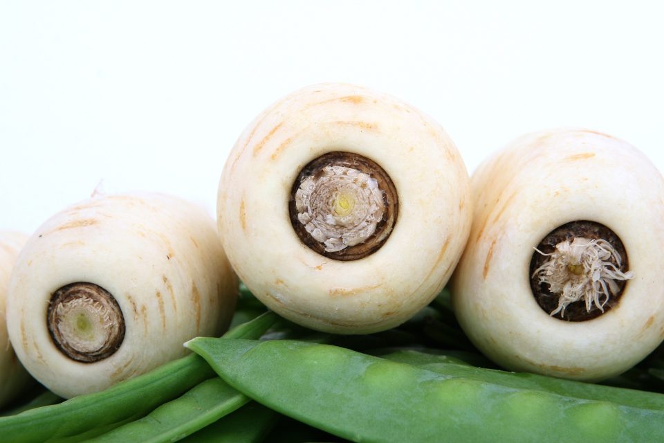 Wortelpeterselie, vergeten groente voor je weerstand - Sambucol vlierbessenextract ondersteunt je weerstand